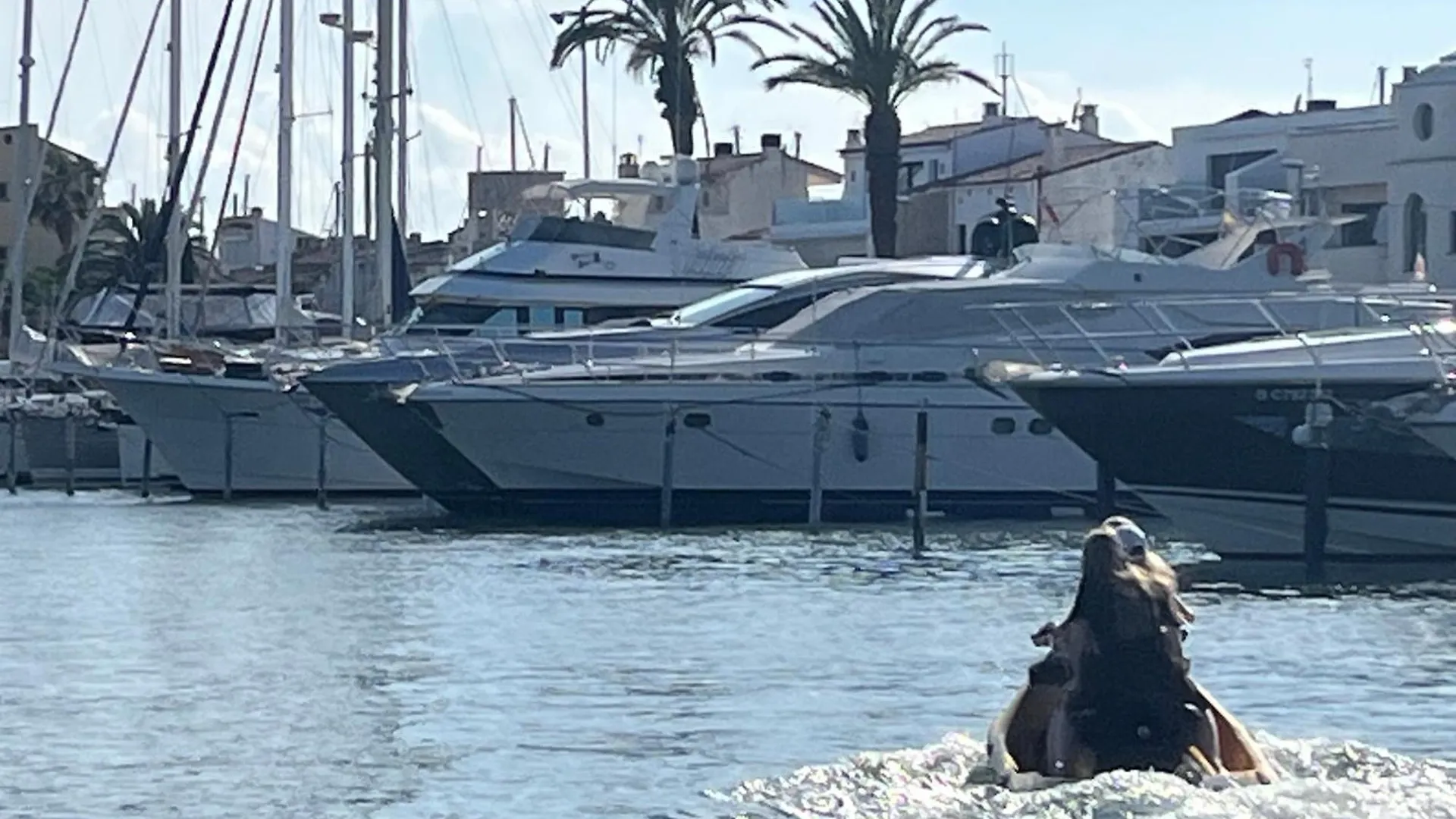 Casadelplacer Empuriabrava 0*,  Spain